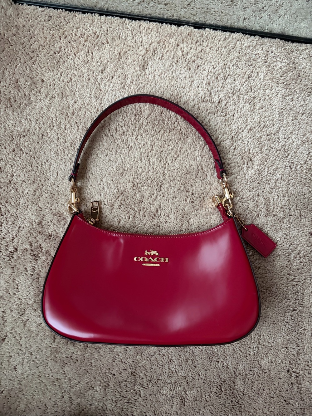 Coach Teri Leather Shoulder Bag - Picture 1 of 6